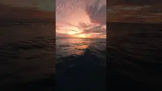 ocean beautiful seen 🥰 #nature #godgifts #beautifulnature #oceanwaves #naturelovers