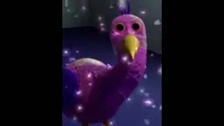 opila bird crossing