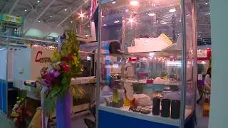 Shine Well at TaipeiPlas 2012