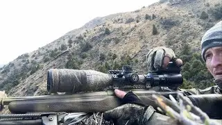 Hunting Hogs In Bad Weather | 308win | Stalking Deer And Bush Cooking