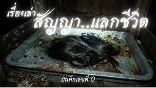 ผมไปค้างบ้านสวน…แล้วรู้ว่าศาลพระภูมิที่นี่ “ไม่ได้มีไว้ปกป้อง” กับ สัญญาลแลก 