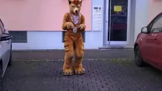 Furry car alarm!