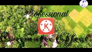 How to make cinematic effect in kinemaster ! 21:9 | Efti Editz