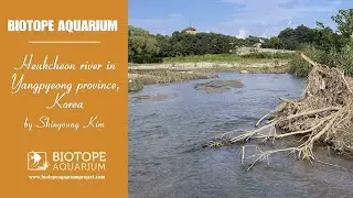 BAC2022 Heukcheon river, Yangpyeong province, Korea. By Shinyoung Kim