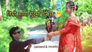 timro maya mutu ma dherai xa // slowed & reverb (music is life) ❤️💐@vlogdipesh.1 #music #nepali 
