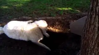 VIDEO0567