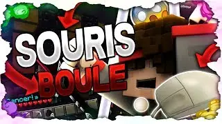 JE JOUE AVEC UNE SOURIS A BOULE + UNBOXING /HANDCAM !