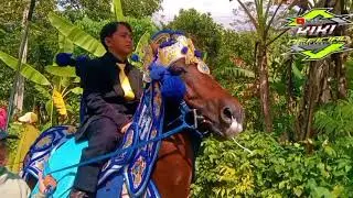 Live jambu Conggeang ‼️ kuda renggong Sagala Laksana berangkat ngelar bikin happy 