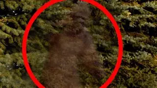 Inter-dimensional Bigfoot.
