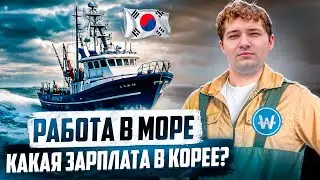 РАБОТА В КОРЕЕ НА ТАШИМЕ / ПОТРАТИЛ ВСЕ ДЕНЬГИ НА ПЕРЕЕЗД, ЧТО В ИТОГЕ?