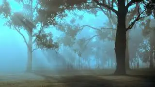 Forest Nature Waterfalls Free HD Videos   No Copyright footage 1080P