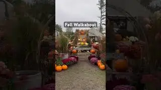 A peek at our pretty autumn displays! #mainegarden #fallflowers #gardencenter