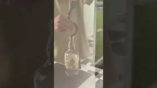HOW TO PUT SNAKE ON THE WINE BOTTLE
