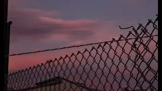 El Shagui ( De Ensenada ) - Alegre De Ensenada 2025