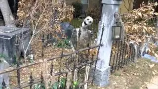 Steve's Haunted Yard daytime walkthrough