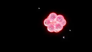 NEON Atom Revolution