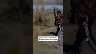 Родственники Бердымухамедовых избили людей на незаконной охоте