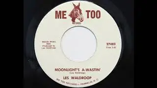 Les Waldroop - Moonlight's A-Wastin' (Me Too 27483)