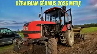 Sėjimai, išbandom Iphone 11 Pro kamera!  2025 sausio 2d