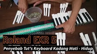 Cara Mudah Memperbaiki Tut's Keyboard Yang Rusak | ROLAND EXR 5