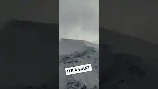 ANDREW DAWSON TIK TOK VIDEO