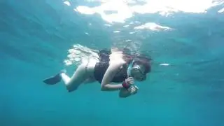 Tour Isla Iguana - Pedasi with Pedasiando Tours and more!