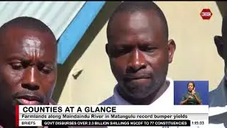 Farmlands along Maindaindu River in Matungulu record bumper yields