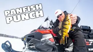 Tungsten Panfish Punch - Punch Jig & Punch Fly