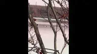 Савки