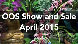 Orchid HAUL and Orchid Show! Gorgeous all around!