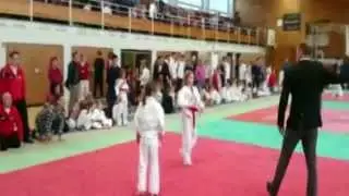 Zawody Berlin VfL Tegel-Cup Judo 2015