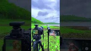 Nikon 70-300 mm lens vs 60X telephoto lens #short #shorts #ytshorts  #photography #camera #india