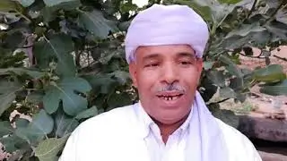 اولاد خضير : الأجواء الإحتفالية بعيد الفطر المبارك