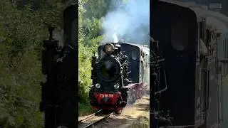 Gr-319 Steam Train in Latvia - Banitis 🇱🇻