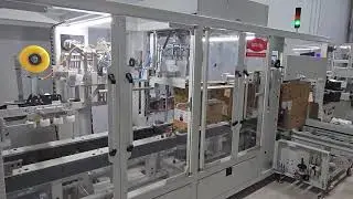 Kova Kolileme ve Koli Paletleme Hattı