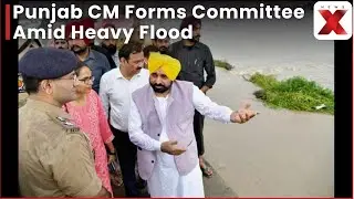 Punjab CM Bhagwant Mann Forms Flood Management Committee Amid Heavy Rainfall Across State