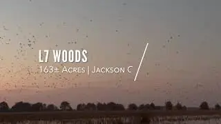 L7 Woods