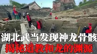 湖北武当山发现神龙骨骸？揭秘神龙渊源，还出土西方神话三头蛇？【墓史迷踪】