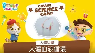 【Online Science Camp】&mdash;「人體科學篇」EP05 人體血液循環