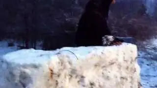 How to build a snow fort