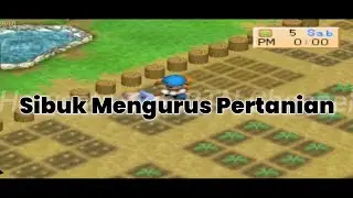 Menanam Kembali Bibit Mentimun - Harvestmoon Back To Nature.