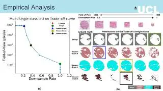 Foveation for Segmentation of Mega-pixel Histology Images (MICCAI 2020)