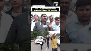 Auto and taxi drivers in Delhi on 2-day strike against app-based cab services