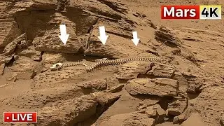Марсоход НАСА отправил самые новые 4K 360&deg; видеокадры Марса на 1546-е марсианское солнцестояние! ...