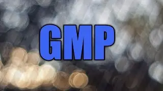 GMP / RPSC FOOD SAFETY OFFICER 2019