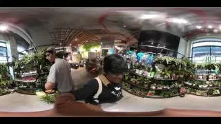 Lowes Manhattan Flower Shop