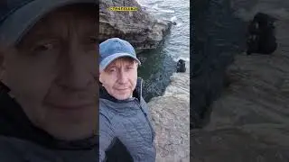 #море #automobile #цитатыосмысле #travel #природа #snow #цитатыпрожизнь #drone #собака #tiger