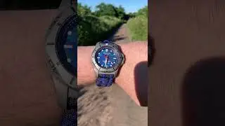 Victorinox INOX Professional Diver titanium limited ed