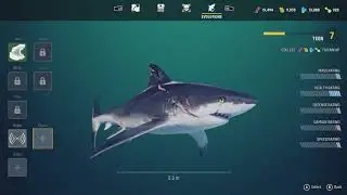 Maneater - Episode 3: Upgrade Bio-Electric Teeth to Tier 2, Advanced Sonar Xbox One X (2020)