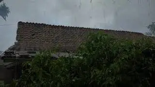 Heavy Rain in Cozy Forest Garden Bedroom 🌧️ Rain on Window for Deep Sleep & Zen Ambience